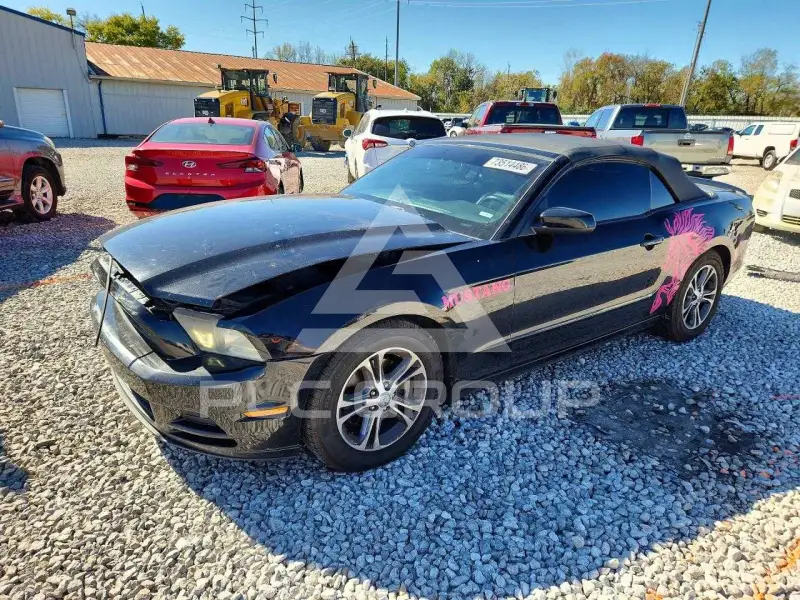 2014 Ford MUSTANG фото