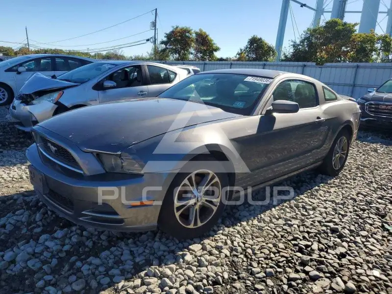 2014 Ford MUSTANG photo
