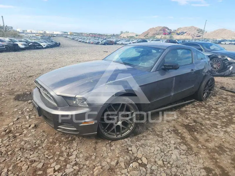2014 Ford MUSTANG photo
