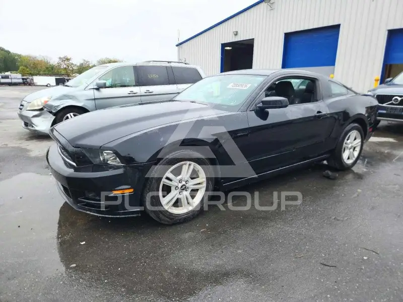 2014 Ford MUSTANG photo
