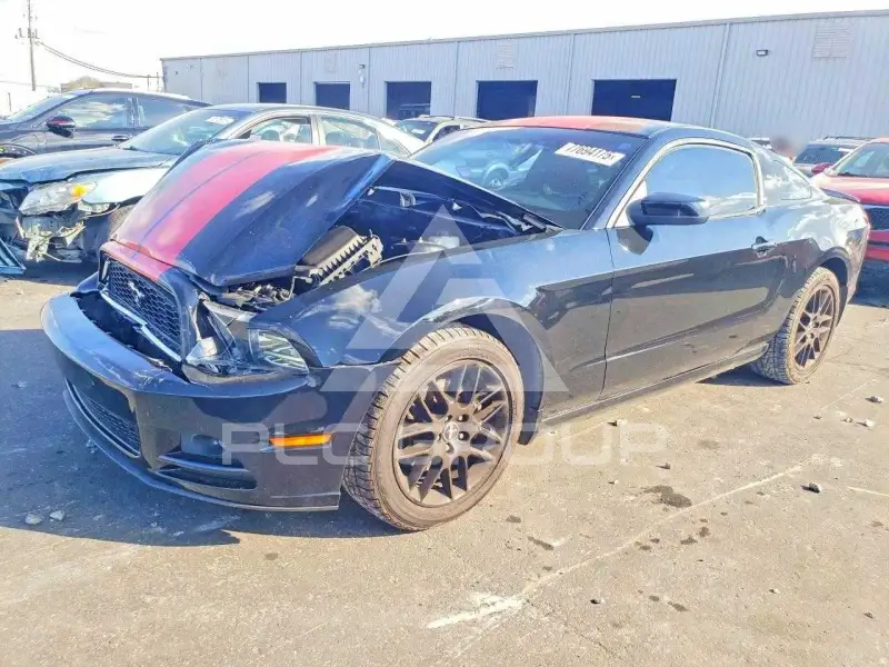 2014 Ford MUSTANG фото