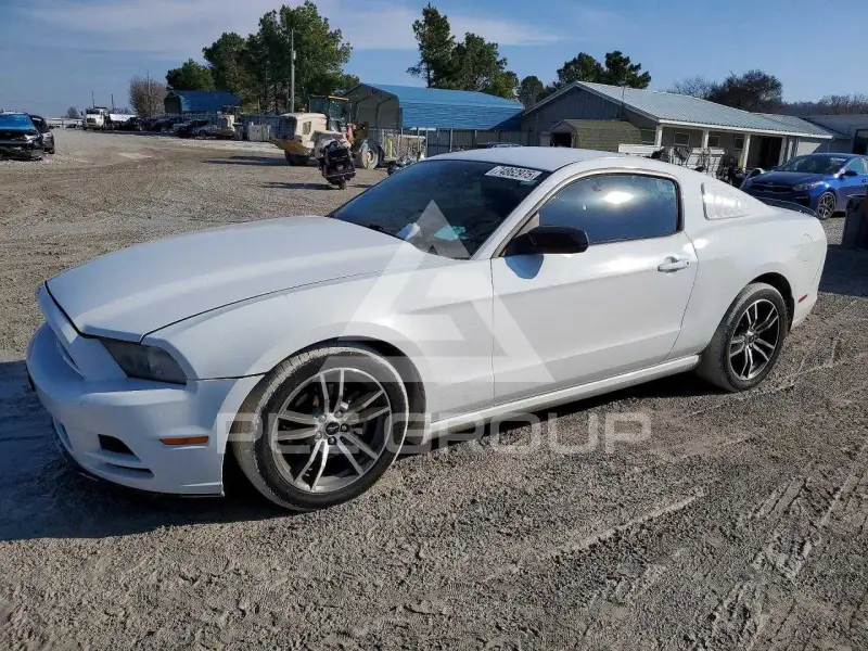 2014 Ford MUSTANG фото