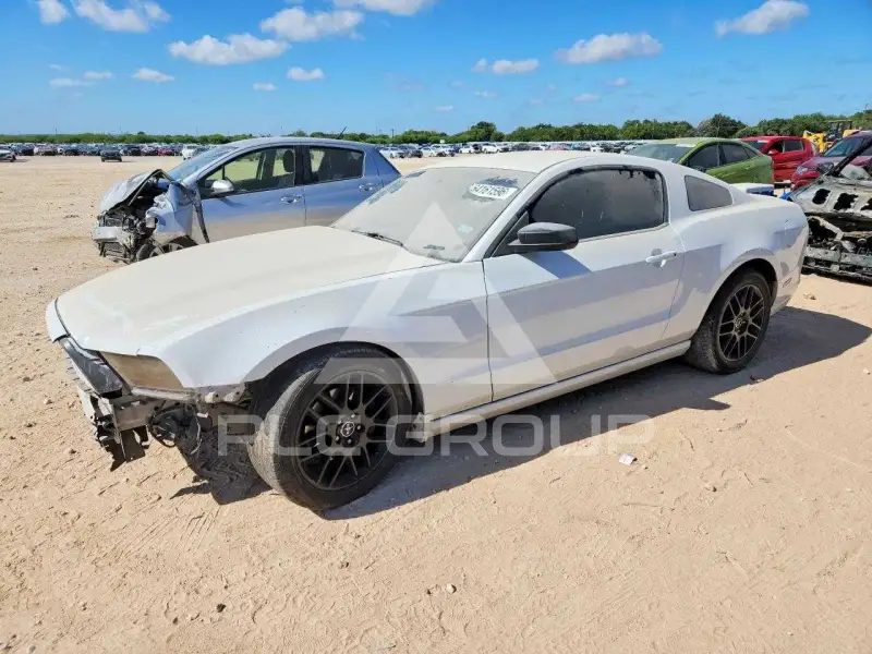 2014 Ford MUSTANG фото