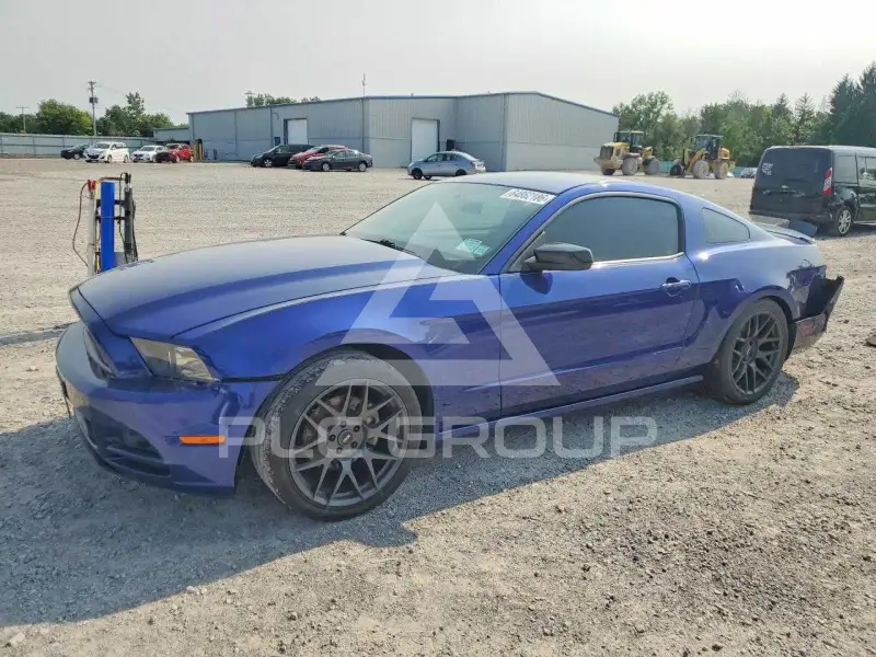 2014 Ford MUSTANG фото