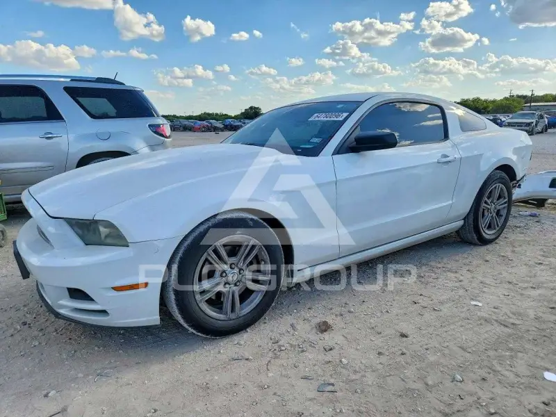 2014 Ford MUSTANG photo