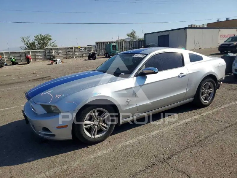 2014 Ford MUSTANG фото