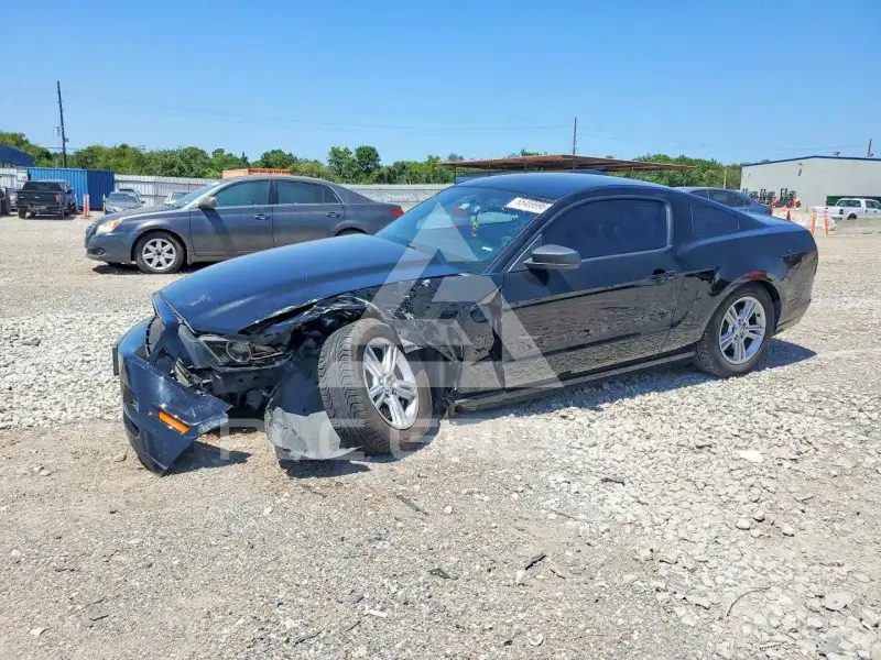 2014 Ford MUSTANG фото