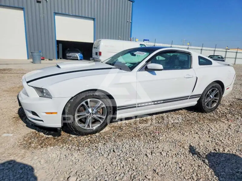 2014 Ford MUSTANG photo