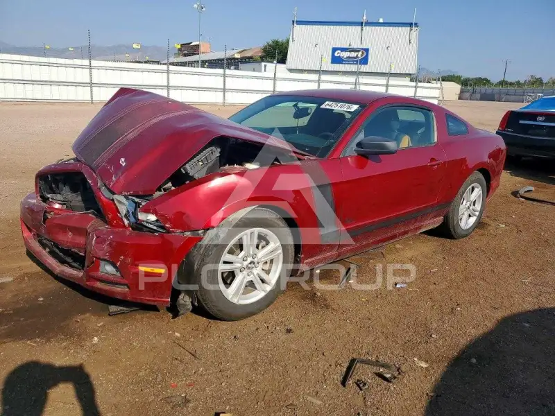 2014 Ford MUSTANG фото