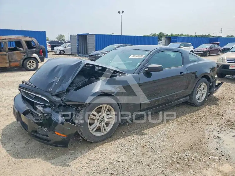 2014 Ford MUSTANG фото