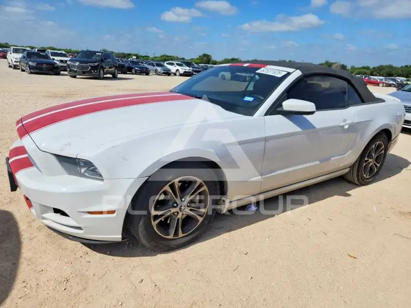 2014 Ford MUSTANG фото