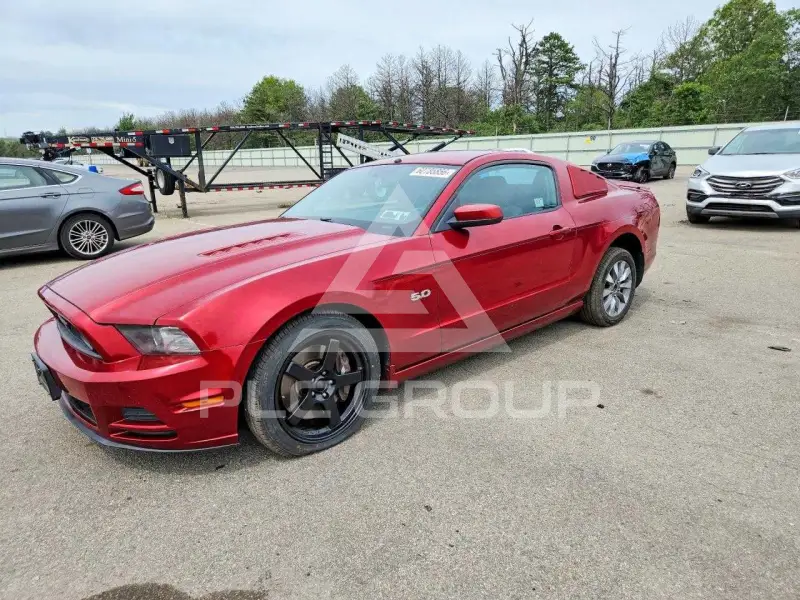 2014 Ford MUSTANG фото