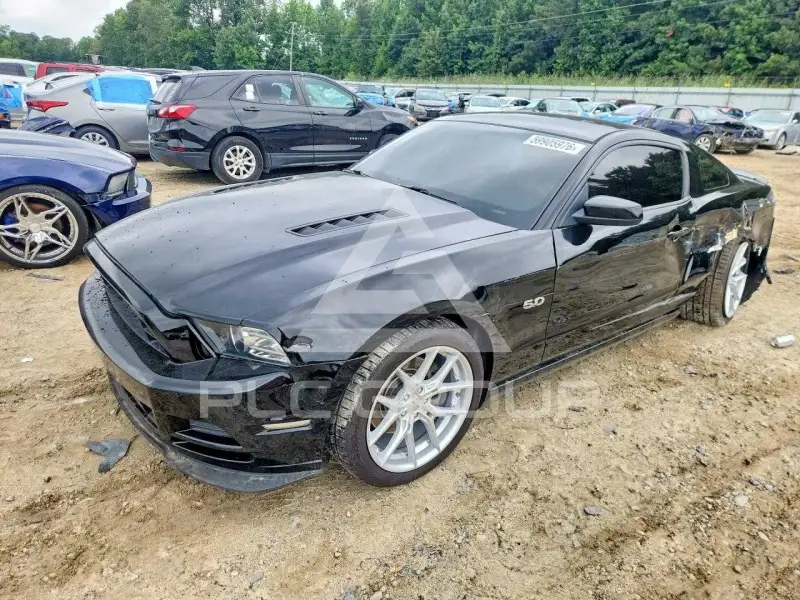 2014 Ford MUSTANG фото