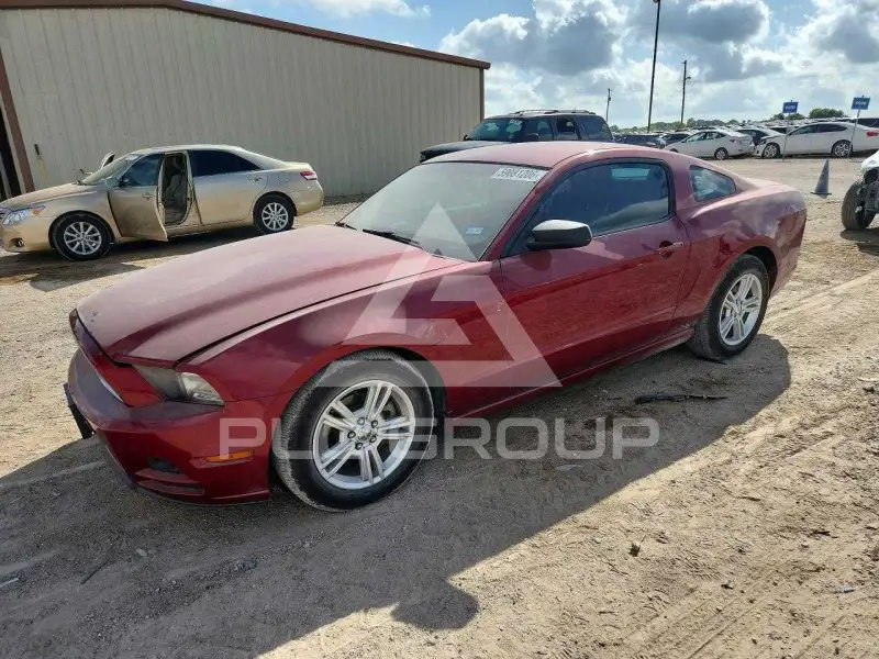 2014 Ford MUSTANG фото