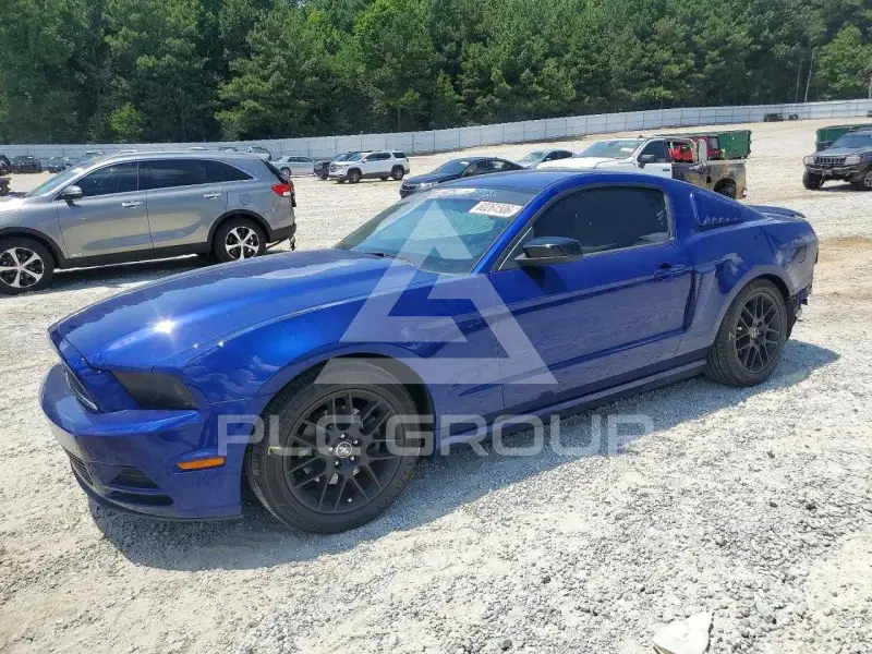 2014 Ford MUSTANG фото
