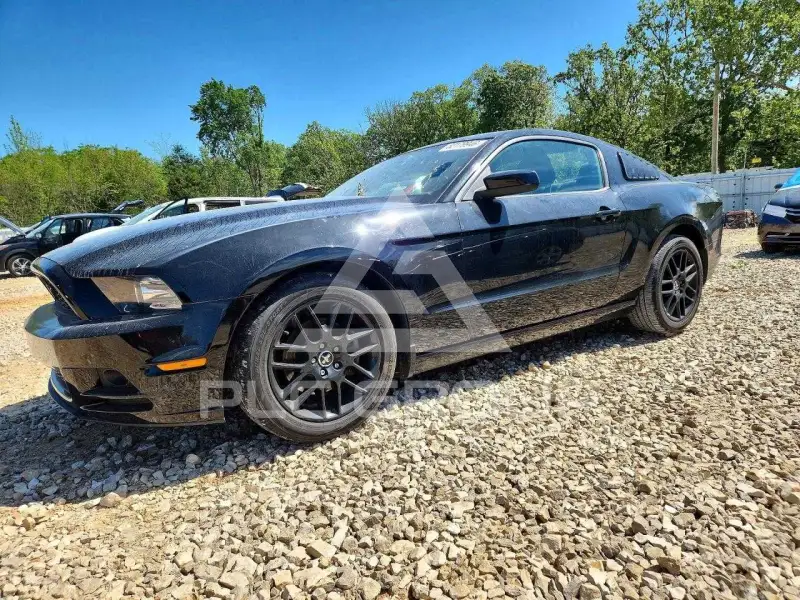 2014 Ford MUSTANG photo