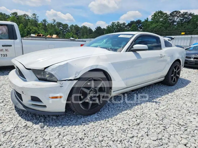 2014 Ford MUSTANG photo