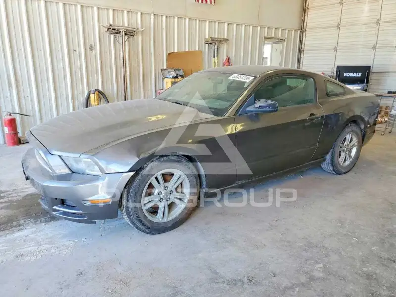 2014 Ford MUSTANG фото