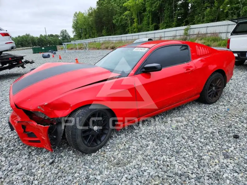 2014 Ford MUSTANG photo