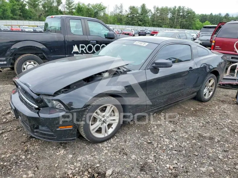 2014 Ford MUSTANG фото