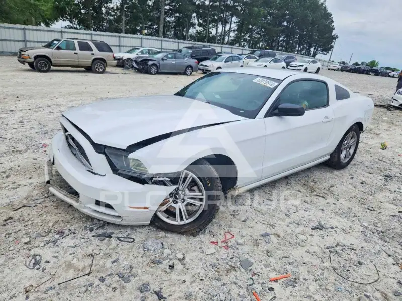 2014 Ford MUSTANG фото