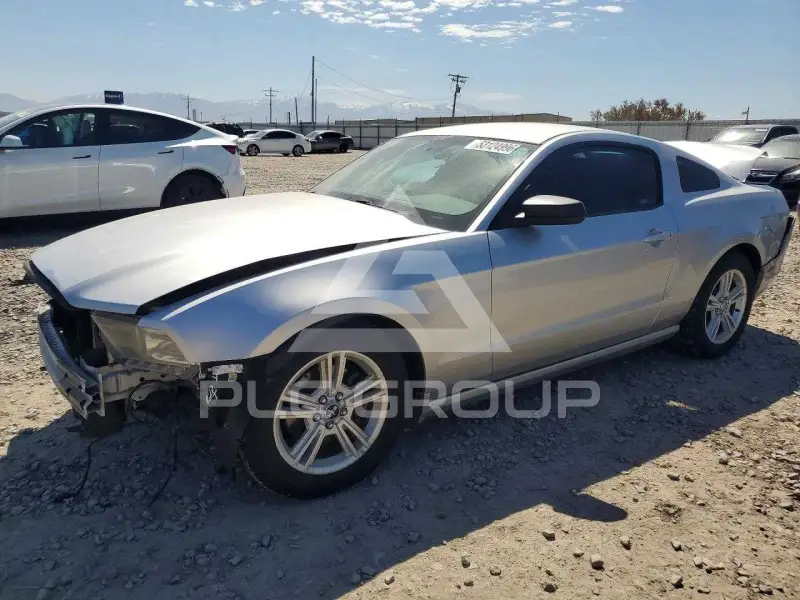 2014 Ford MUSTANG фото