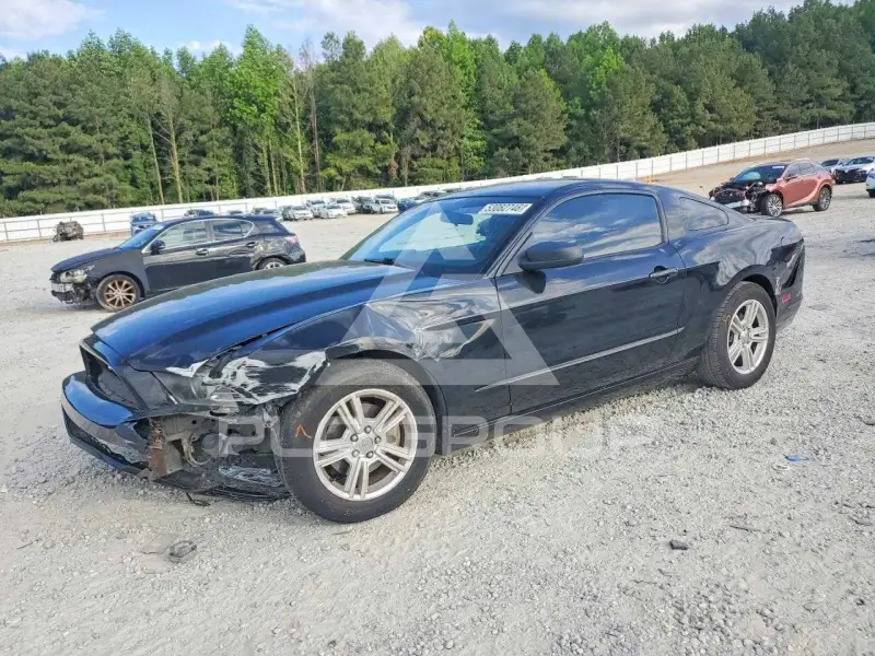 2014 Ford MUSTANG фото