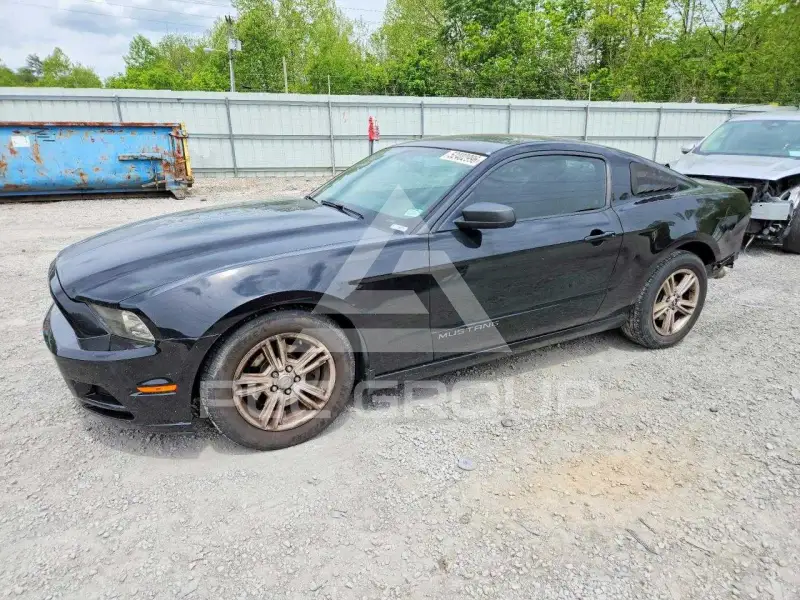 2014 Ford MUSTANG фото