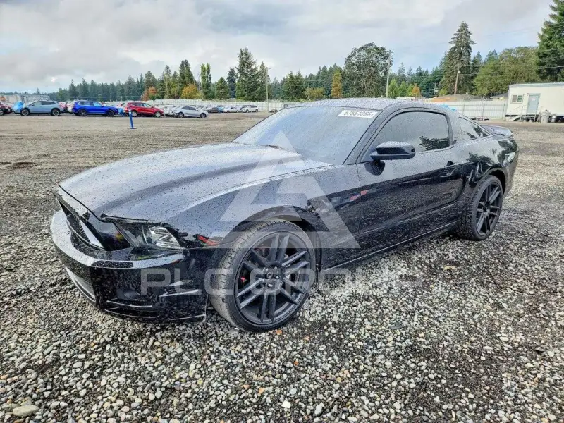 2014 Ford MUSTANG фото