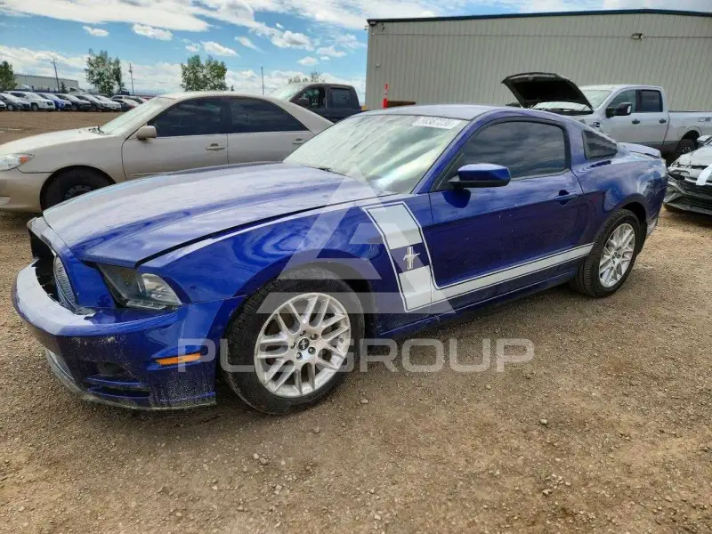 2014 Ford MUSTANG фото