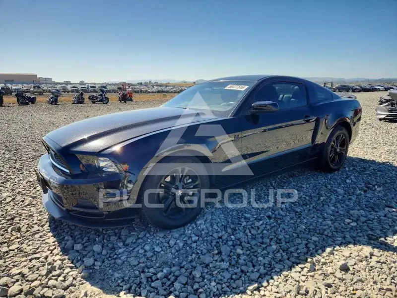 2014 Ford MUSTANG фото