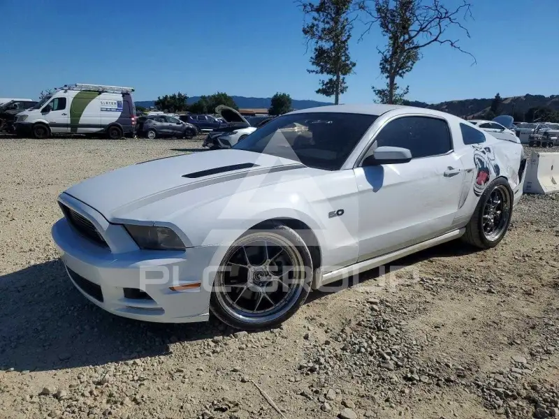 2014 Ford MUSTANG фото