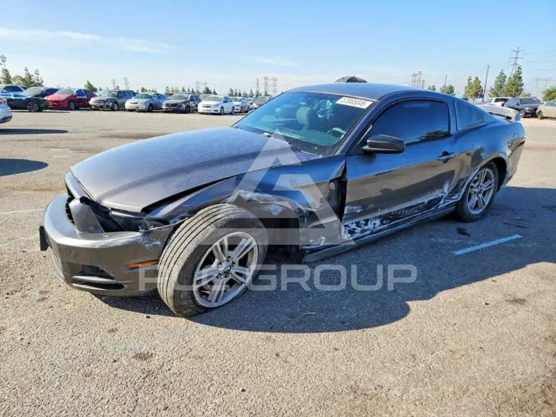 2014 Ford MUSTANG фото