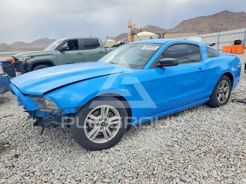 2014 Ford MUSTANG фото