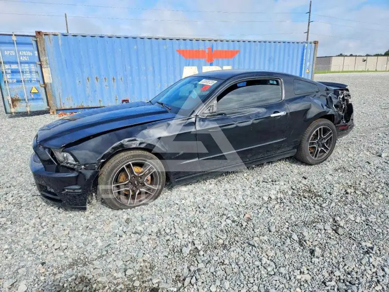 2014 Ford MUSTANG фото