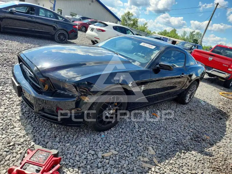 2014 Ford MUSTANG photo