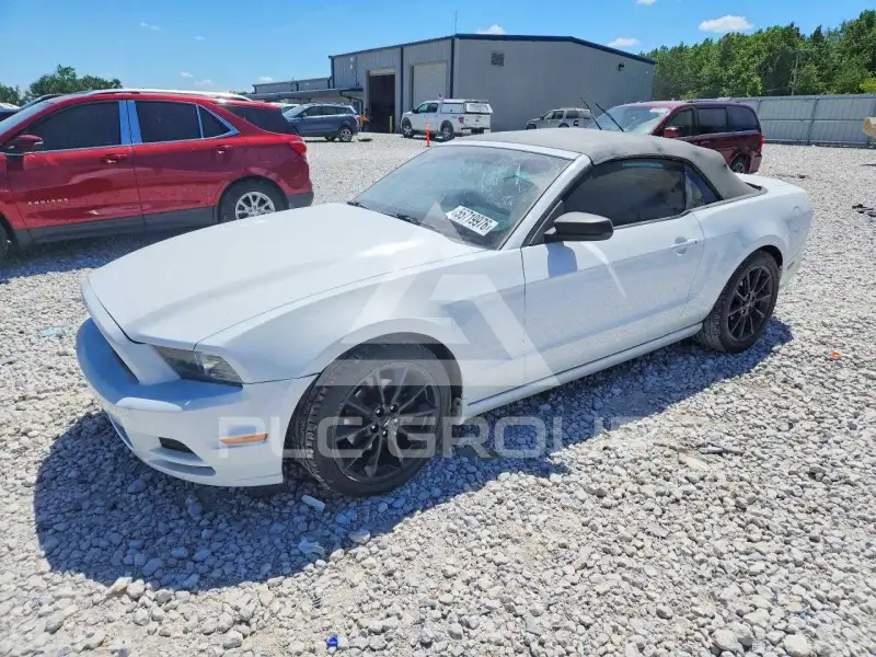 2014 Ford MUSTANG photo