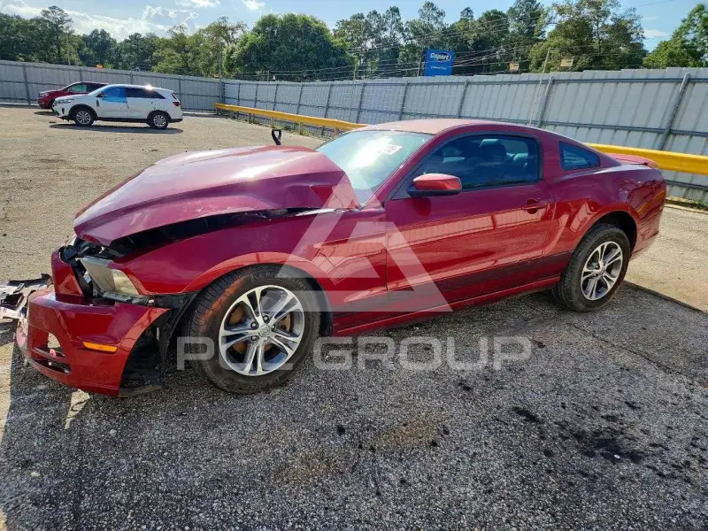 2014 Ford MUSTANG фото