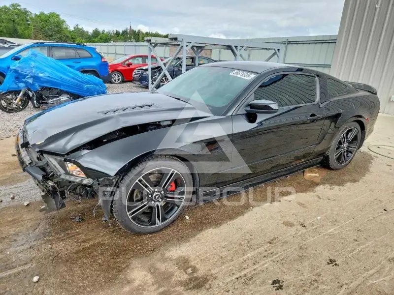 2014 Ford MUSTANG фото