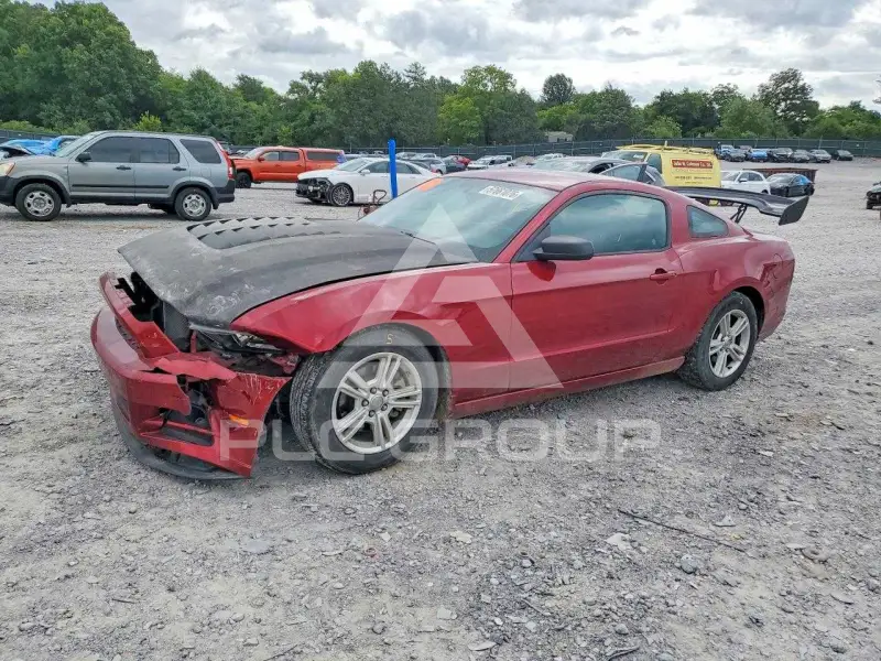 2014 Ford MUSTANG photo