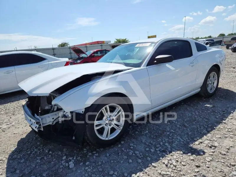 2014 Ford MUSTANG фото