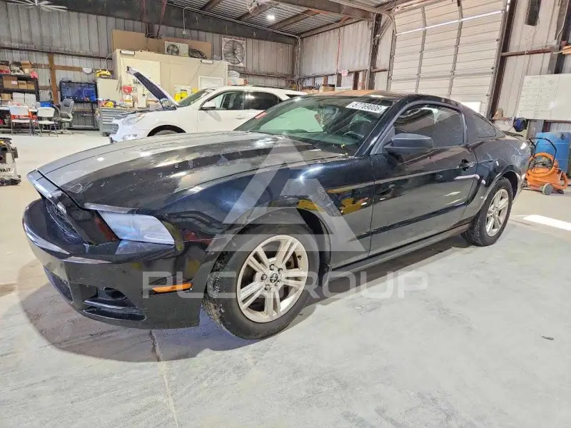 2014 Ford MUSTANG фото