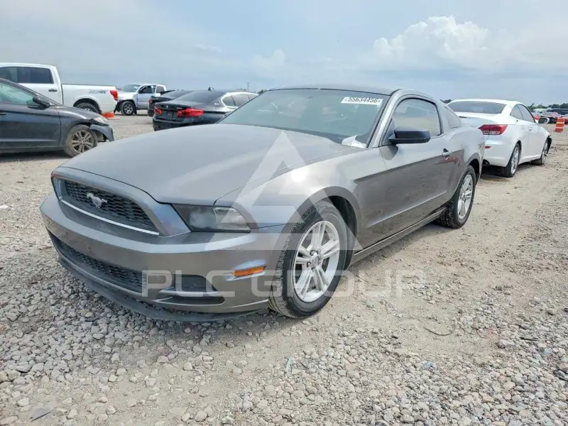 2014 Ford MUSTANG фото