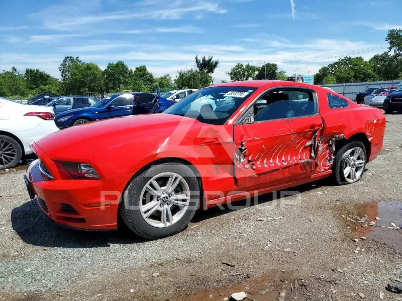 2014 Ford MUSTANG фото