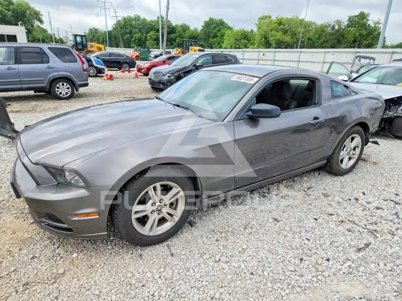 2014 Ford MUSTANG фото