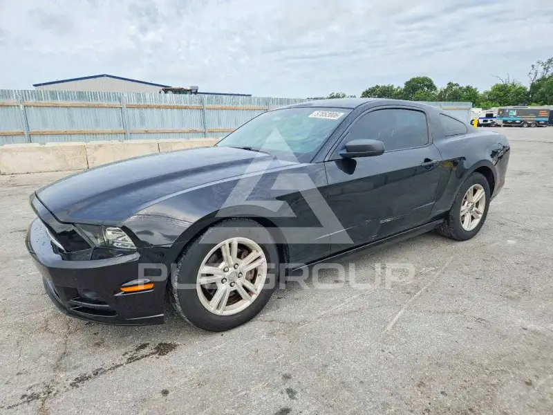 2014 Ford MUSTANG фото