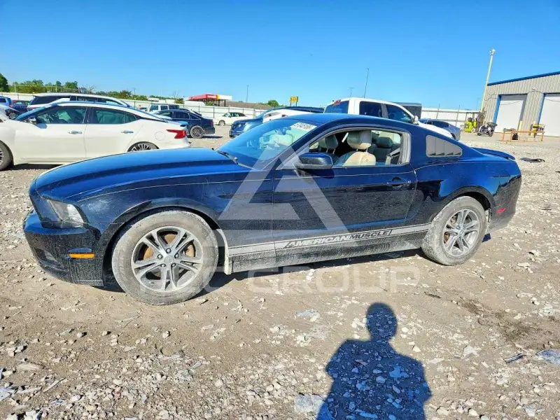 2014 Ford MUSTANG фото
