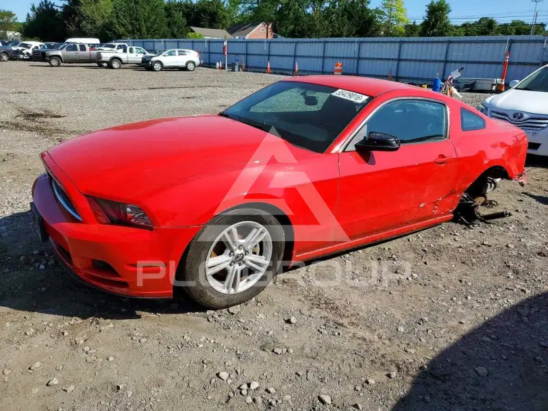 2014 Ford MUSTANG фото