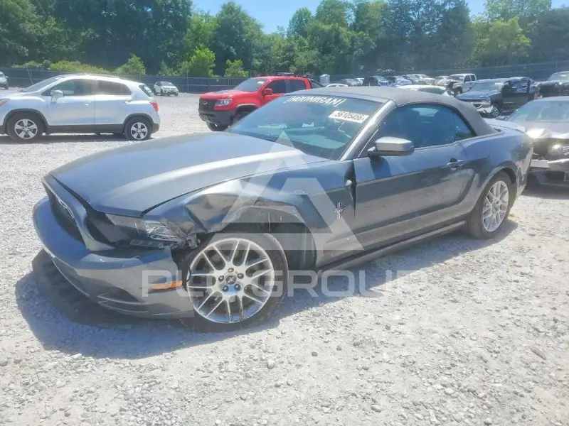 2014 Ford MUSTANG photo
