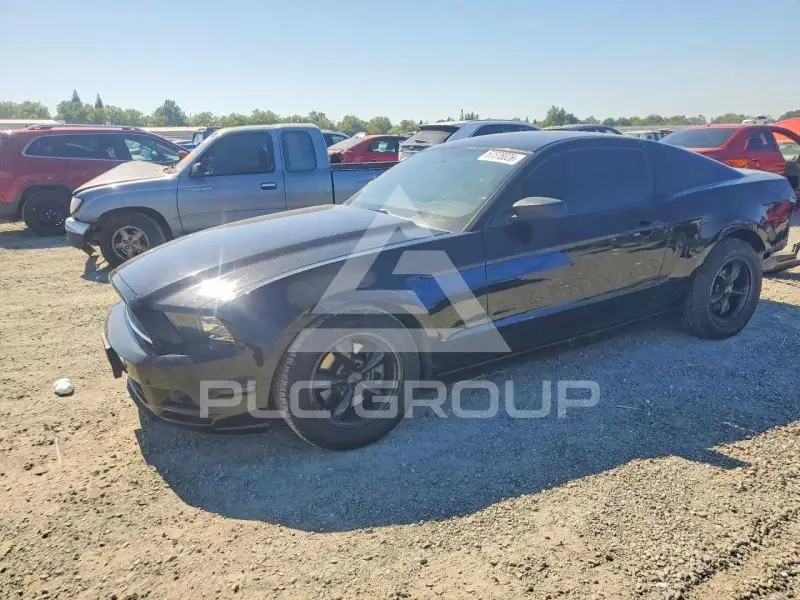 2014 Ford MUSTANG фото